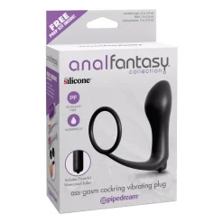 Stimulateur Prostatique Et Cockring Vibrant Ass-Gasm - Pipedream -Sex Toys Femme boutique 11136