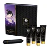 Coffret Romantique Ensemble Geisha Coquine - Shunga
