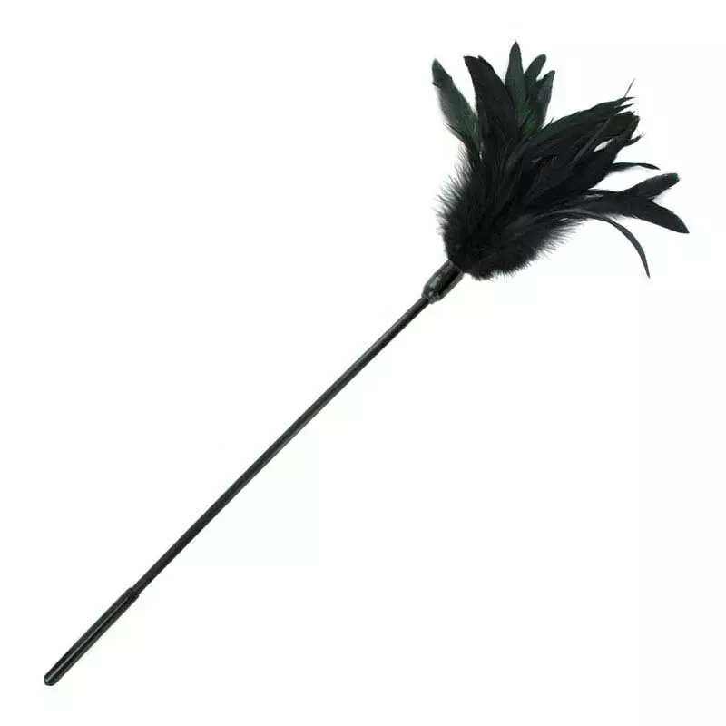 Plumes BDSM à Chatouiller Starburst Feather Body Tickler (Noir) - Sportsheets 1 Plumes BDSM à Chatouiller Starburst Feather Body Tickler (Noir) - Sportsheets